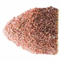PFERD POLICAP-Schleifkappe PC 1317 G A 60 VPE: 50