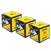 Dunlop Squash-Ball Pro