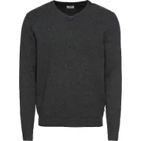 Jack & Jones V-Ausschnitt-Pullover "JJEBASIC KNIT V-NECK NOOS" Baumwolle, normal geschnitten