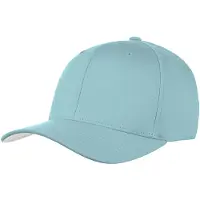 Hoedshop Flex Cap