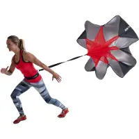 Pure 2 Improve Speedchute Fallschirm