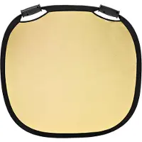 Profoto Gold/White