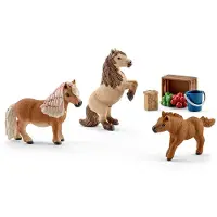 Schleich HORSE CLUB Mini Shetty Familie, Horses, 3 Jahr(e), Mehrfarbig