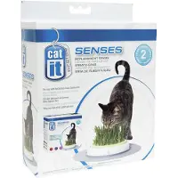 Catit Senses Katzengrassamenset - Nachfüllpack - 2 x 70 g