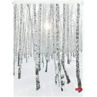 Lichtblick Rollo Klemmfix, ohne Bohren, blickdicht, Birkenwald - Weiß 60 x 150 cm (B x L)