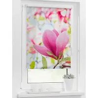 Lichtblick Rollo Klemmfix, ohne Bohren, blickdicht, Magnolie - Rosa 120 x 150 cm (B x L