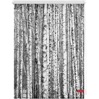 Lichtblick Rollo Klemmfix, ohne Bohren, blickdicht, Birken - 100 x 150 cm (B x L