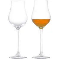 Rosendahl Premium Glas - Likörglas, 2 Stück