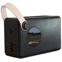 Scansonic Pa4600