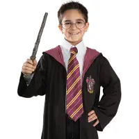 Rubies - Harry Potter Wand & Glasses Set (5374NS000)