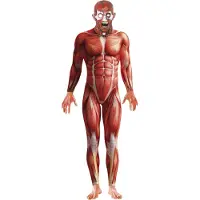 Smiffy Anatomie Mann