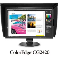 Eizo ColorEdge CG2420, 61,2 cm (24.1"), 1920 x 1200 Pixel, WUXGA, 10 ms, Schwarz