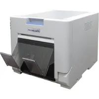 DNP Photo Imaging DS-RX1, Farbstoffsublimation, 300 x 600 DPI, 6" x 8" (15x20 cm), Schwarz, Weiß