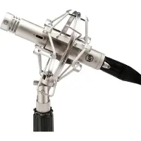 Warm Audio WA-84 Kleinmembran-Kondensatormikrofon Nickel
