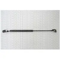 TRISCAN Gasfeder Koffer-/Laderaum Hub 215 mm 470 N für HYUNDAI TERRACAN