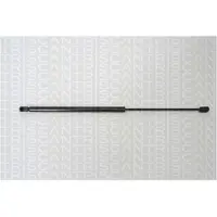 TRISCAN Gasfeder, Koffer-/Laderaum 8710 42234
