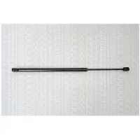 TRISCAN Gasfeder, Koffer-/Laderaum 8710 13270