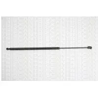 TRISCAN Gasfeder Koffer-/Laderaum Hub 210 mm 590 N passend für BMW X3