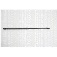TRISCAN Gasfeder, Koffer-/Laderaum 8710 29245
