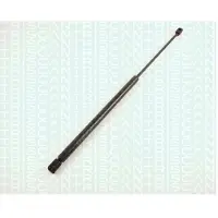 TRISCAN Gasfeder, Koffer-/Laderaum 8710 42202