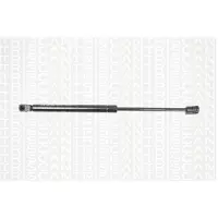 TRISCAN Gasfeder, Koffer-/Laderaum 8710 25238
