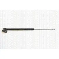 TRISCAN 8710 43212 Gasfeder Heckklappendämpfer für HYUNDAI ATOS (MX) 450mm