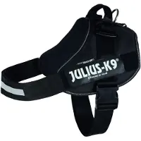 Julius-K9 14881, Hund, Westengeschirr, Schwarz, Einfarbig, 138 cm, 96 cm
