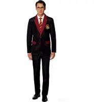 Suitmeister Harry Potter: Gryffindor