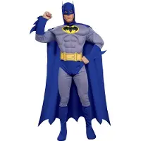 Rubies Costumes Co. Batman: the Brave And the Bold