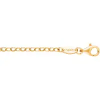 Engelsrufer Collierkettchen "Ankerkettengliederung, 2,85 mm breit" Gr. 45, gold (gelbgoldfarben), Halsketten, Damen, 45, Silber 925 (Sterlingsilber), B: 2,85mm, Collierkettchen, B:2,85mm