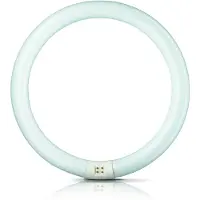 Philips TL-E 40W/840 1CT/12, 40 W, G10Q, C-T9, 3200 lm, Cool white
