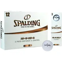 Spalding Platinum white