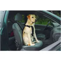 Beeztees Bz Auto Sicherheitsgeschirr Hu