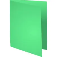Exacompta 340004E 5x 100er Aktendeckel SUPER 160 24x32cm - Hellgrün