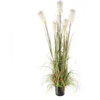 Mica Decorations Mica Kunstpflanze Federgras Foxtail im Topf grün, 180 x 80 cm GLO660754652