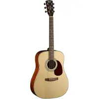 Cort Earth 70 Open Pore