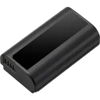 Panasonic Akku BLJ31E für S1/S1R