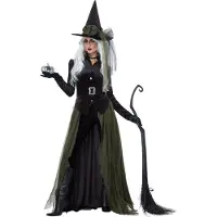 Metamorph Gothic Witch Kostüm
