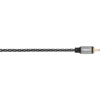 Avinity Cl2