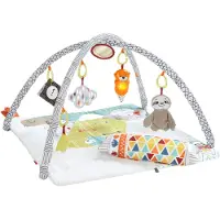 Fisher Price GKD45, Baby-Turnhalle, Spielbügel, Mit Ton, Mehrfarbig