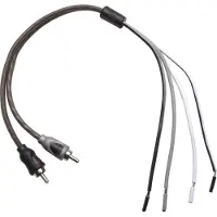 Rockford Fosgate RFI2SW