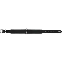 Hunter Halsband Basic S-M (42), schwarz