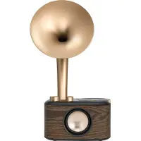 Sangean WR-45 Euphonic FM-Radio im Vintage-Design mit Bluetooth, versch. Farben Farbe: gold
