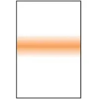 LEE Filters LEE Filter Coral Stripe 100 x 150 mm Un 2 mm th.