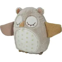 Cloud B Nighty Night Owl Smart Sensor-Plüschtier/Haustier mit Melodie – Eule, ab 0 Monaten