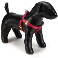 Beeztees Uni - Hundegeschirr - rosa - 35-60 cm x 15 mm
