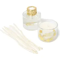 Maison Berger Geschenkset Lolita Lempicka Duftstäbchen und Duftkerzen Transparent