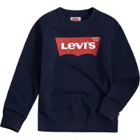 Levi's Kids Kapuzensweaters BATWING CREWNECK kind