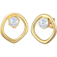 Elli Ohrringe Stecker Mondstein Organic Kreis Design 925 Silber Elli Premium Gold