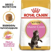 Royal Canin Maine Coon Kittenfutter trocken für Kätzchen 10 kg